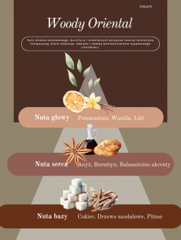 Patyczki zapachowe, Woody Oriental (100ml), Alya