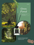 Alya Patyczki Zapachowe Green Forest 100 ml