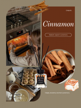 Patyczki zapachowe, Cinnamon (100ml), Alya
