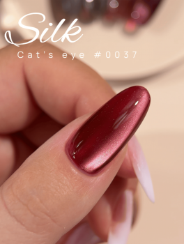 Lakier hybrydowy, Gel Polish Silk Cat's Eye #0037 (12ml), DNKa’