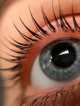 Klej do liftingu laminacji rzęs LamiONE (5ml), ProjectLashes