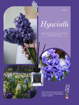 Patyczki zapachowe, Hyacinth (100ml), Alya