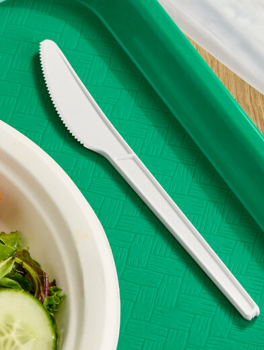 Noże jednorazowe plastikowe (16.5cm) - 100 szt
