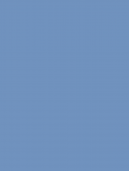 Szczoteczka pierścionek do usuwania pyłu, Staleks PRO